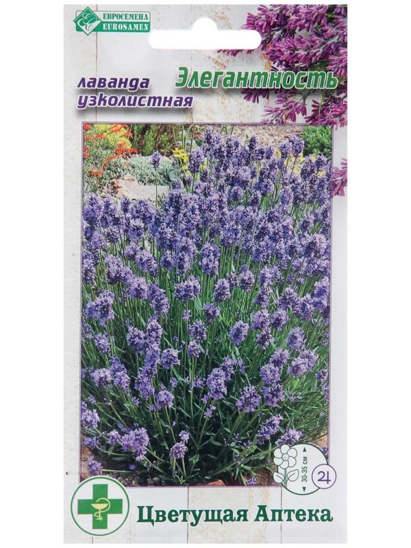 Семена Лаванда узколистная