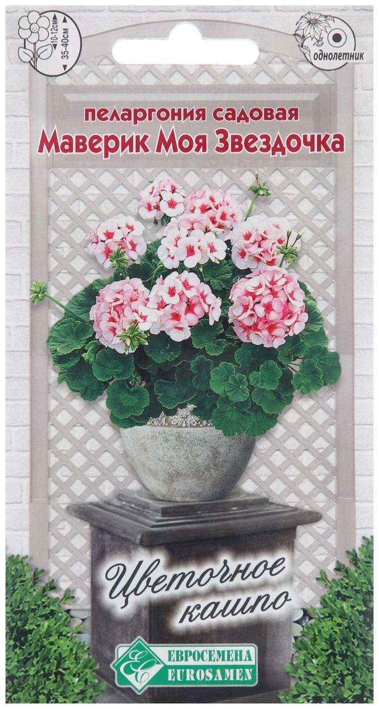 Семена Пеларгония садовая Маверик 