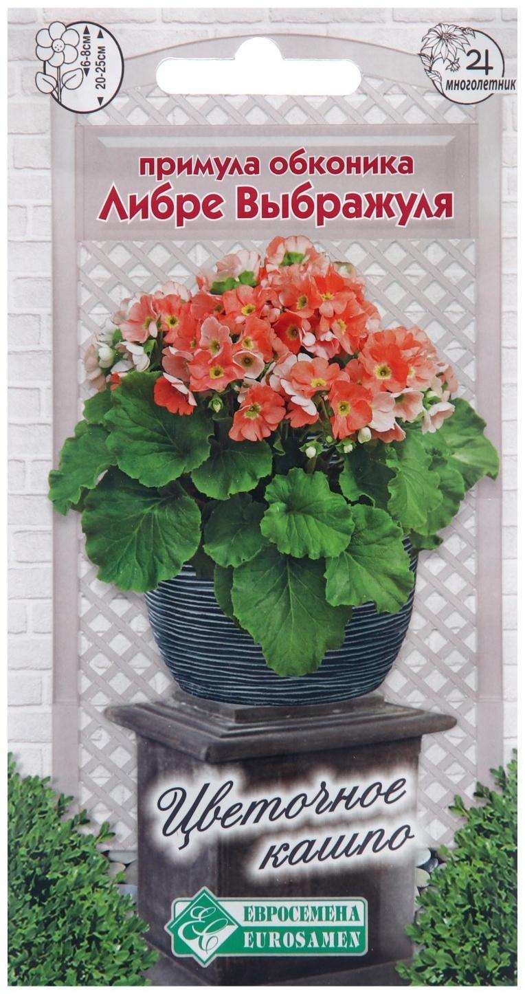 Семена Примула обконика 