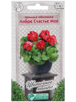 Семена Примула обконика 