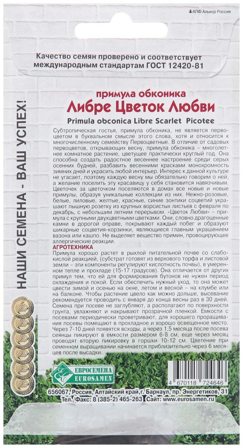 Семена Примула обконика 