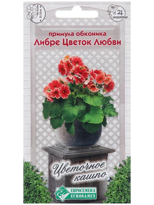 Семена Примула обконика 