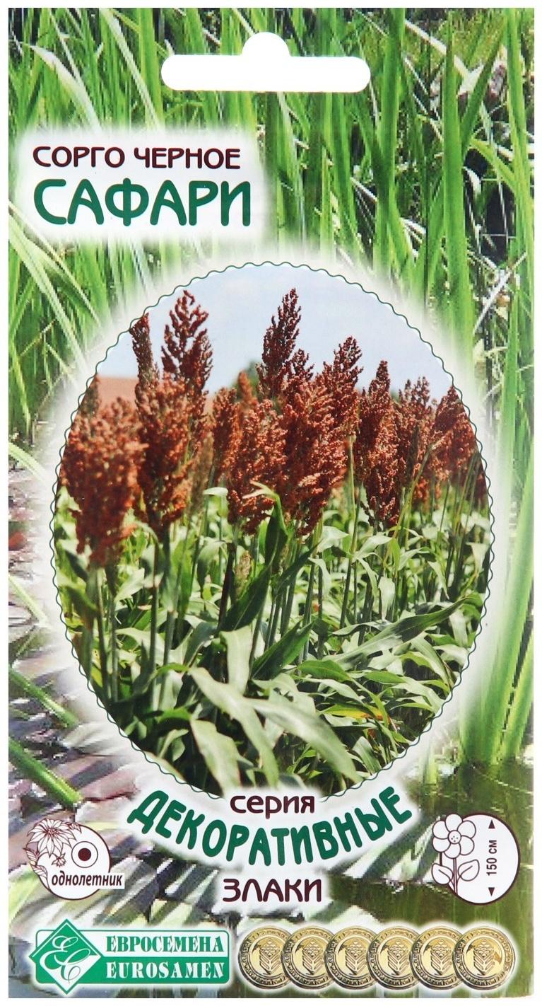 Семена Сорго черное 