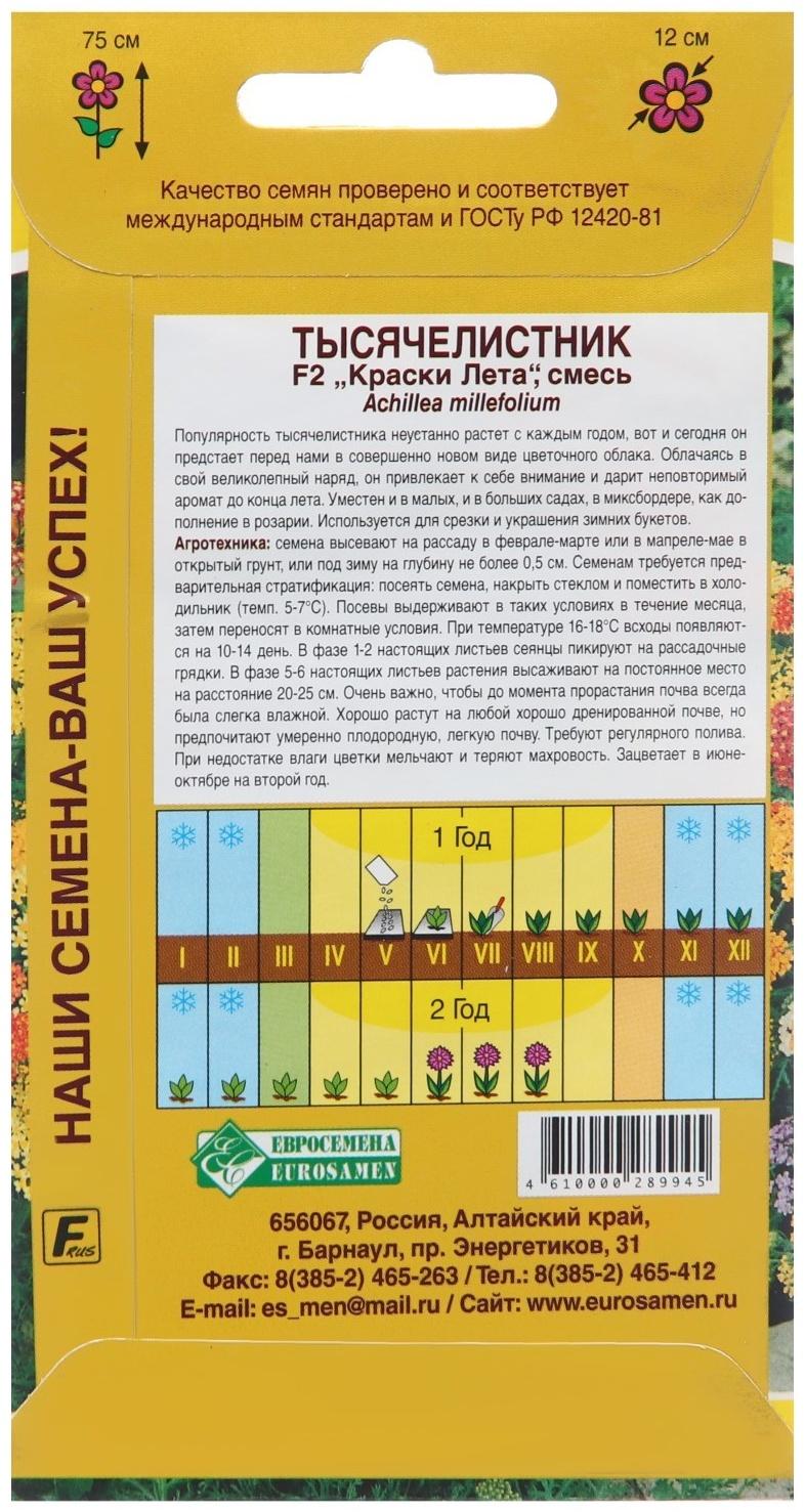 Семена Тысячелистник 