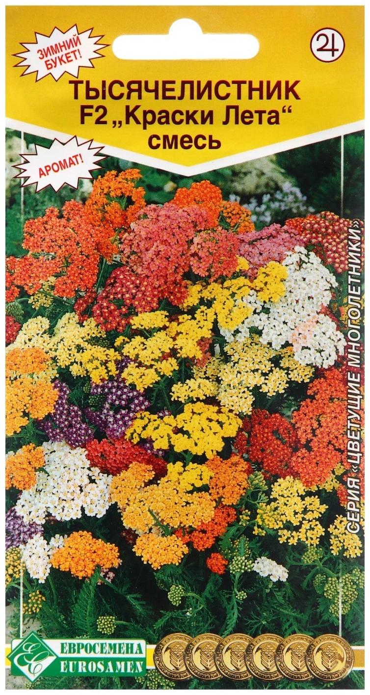 Семена Тысячелистник 