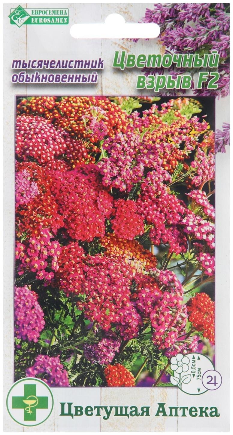 Семена Тысячелистник обыкновенный 