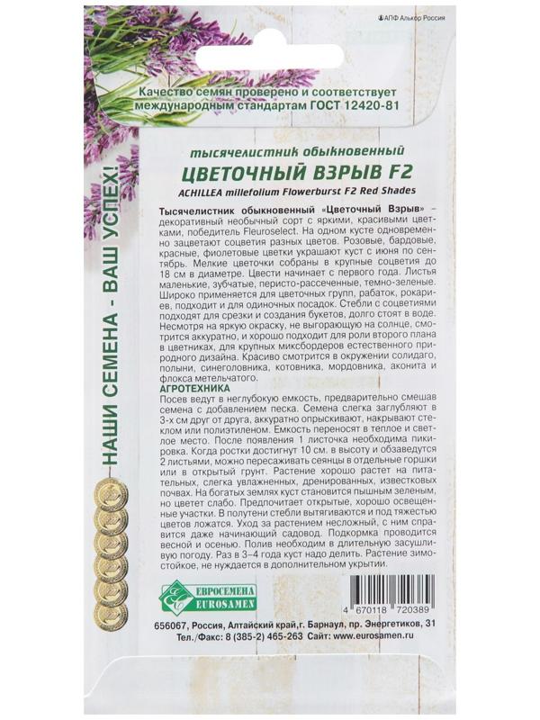 Семена Тысячелистник обыкновенный 