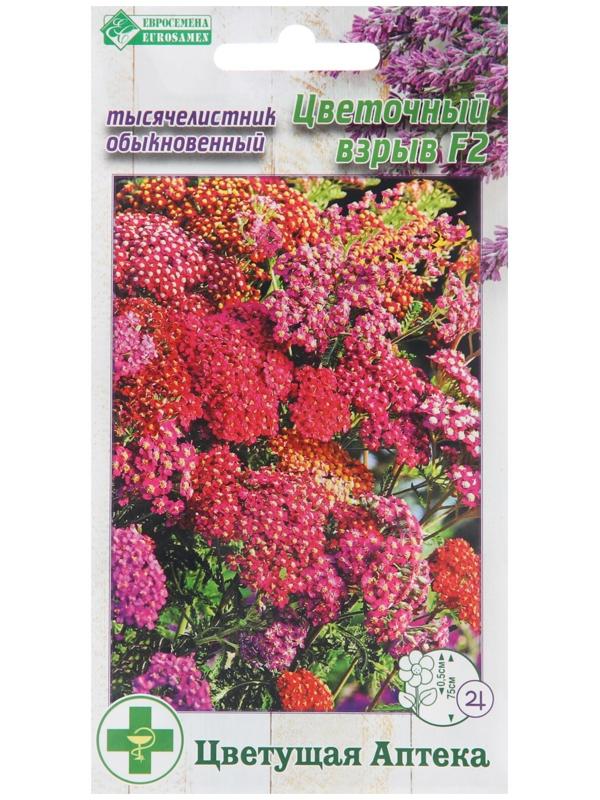 Семена Тысячелистник обыкновенный 