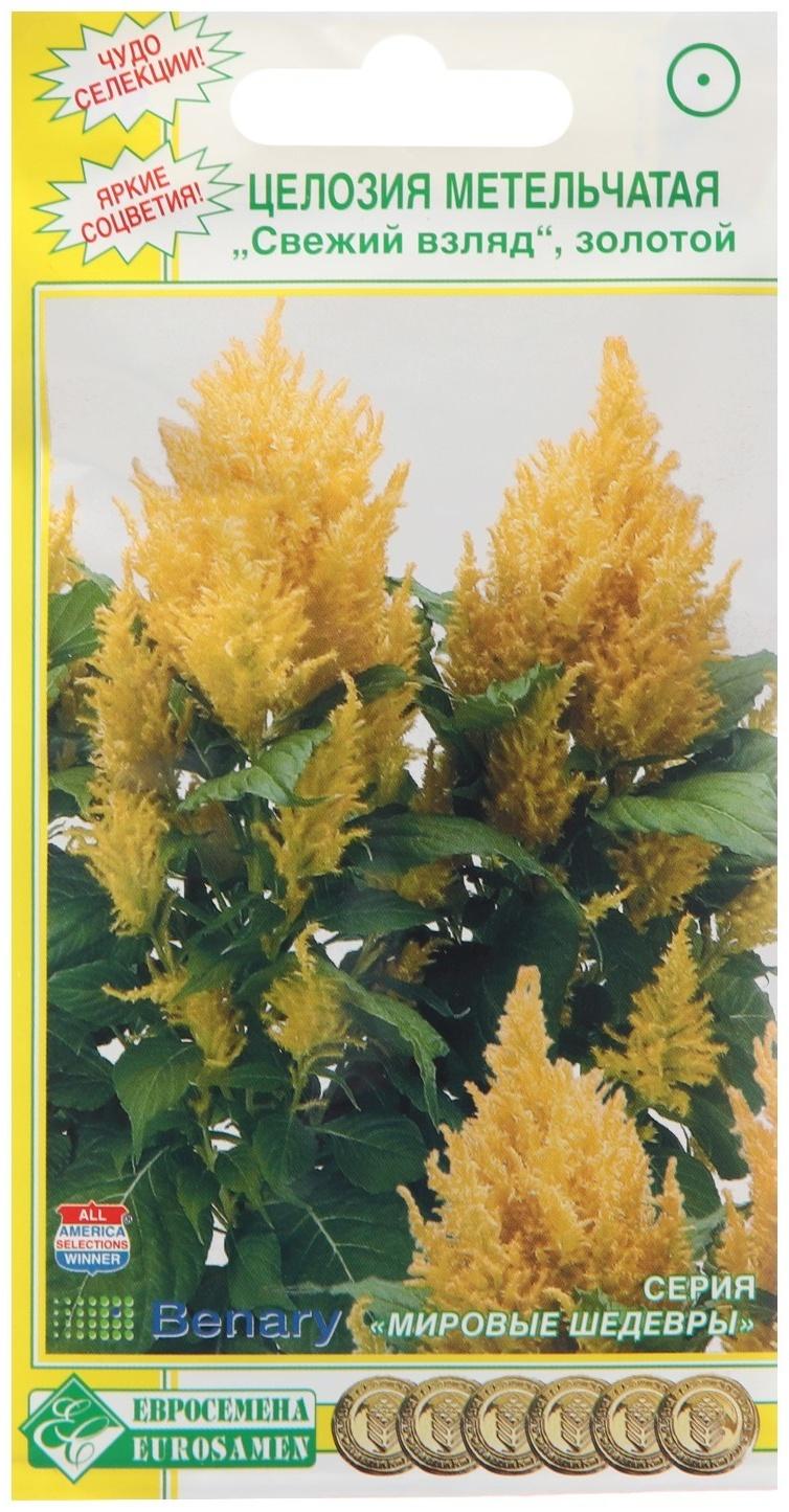 Семена Целозия метельчатая 