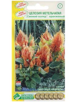 Семена Целозия метельчатая 