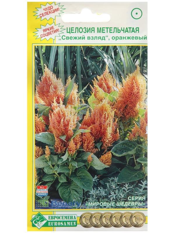 Семена Целозия метельчатая 