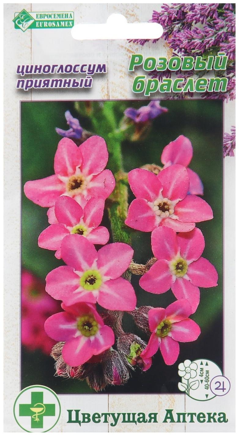 Семена Циноглоссум приятный 