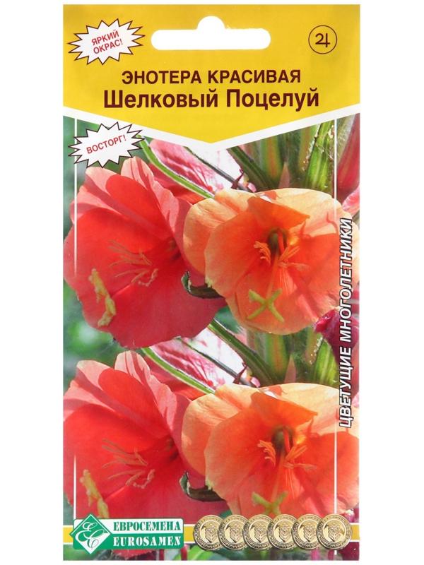 Семена Энотера красивая 