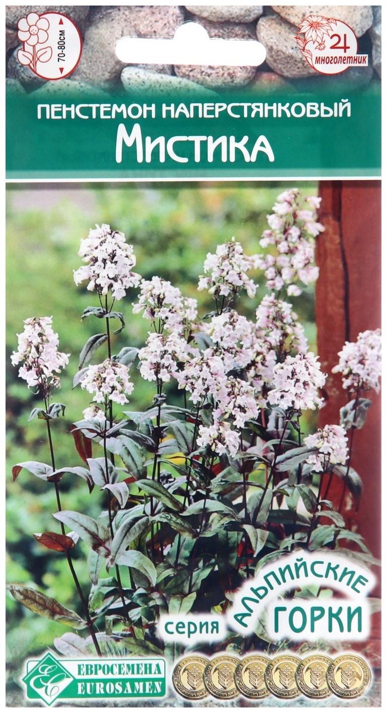 Семена Пенстемон наперстянковый 