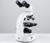 Микроскоп лабораторный кратность 40,100,400, подсветка