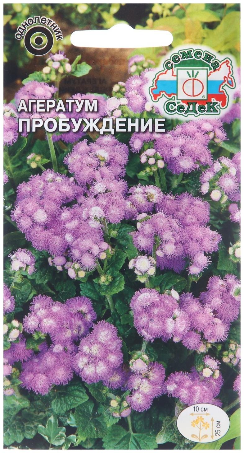 Семена цветов Агератум 