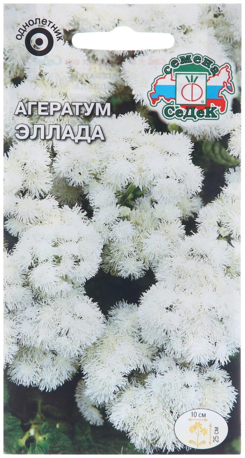 Семена цветов Агератум 