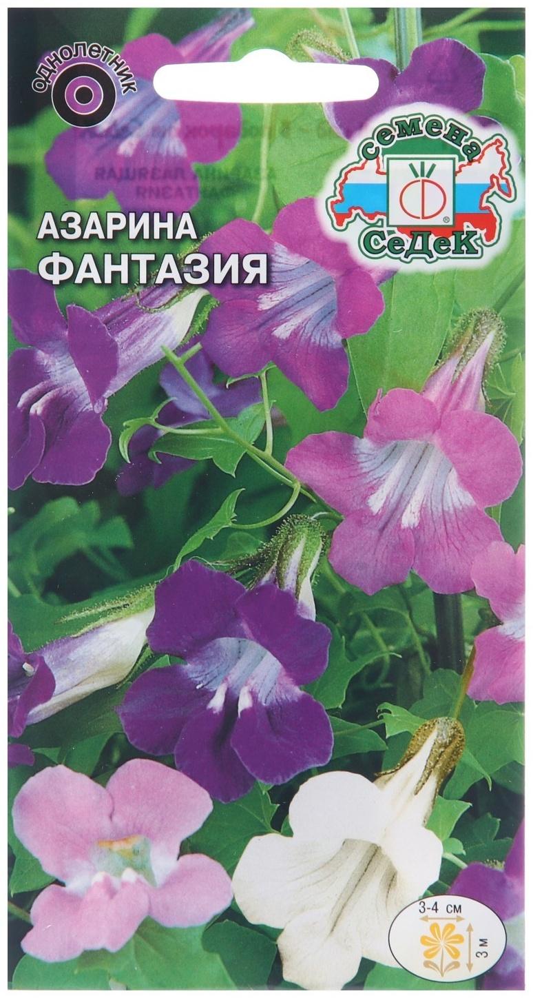 Семена цветов Азарина 