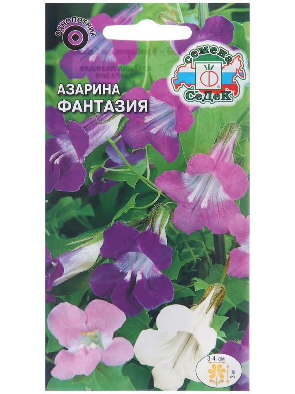Семена цветов Азарина 