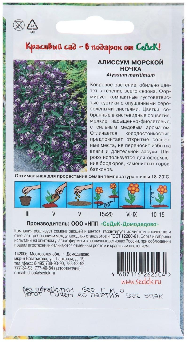 Семена цветов Алиссум 