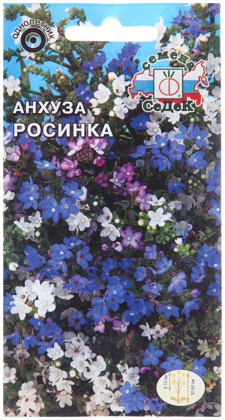 Семена цветов Анхуз, 