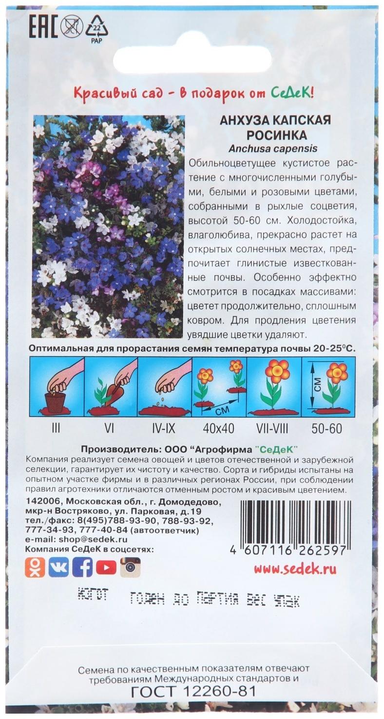 Семена цветов Анхуз, 