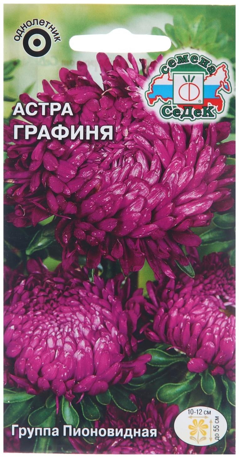Семена цветов Астра 