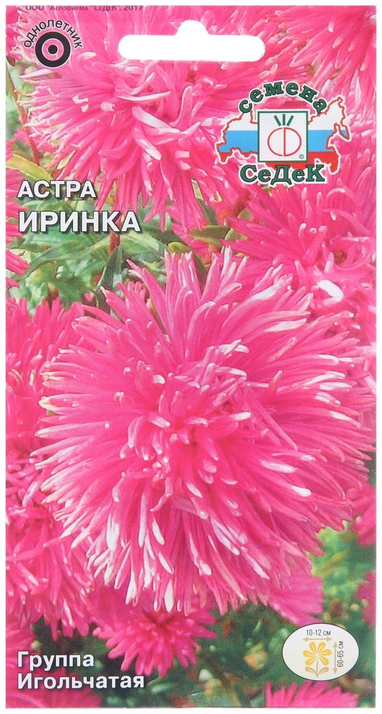 Семена цветов Астра 