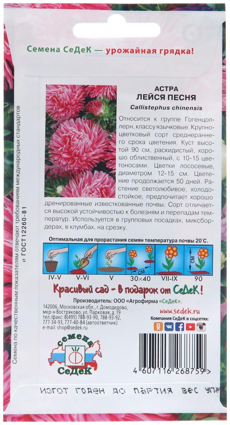 Семена цветов Астра 