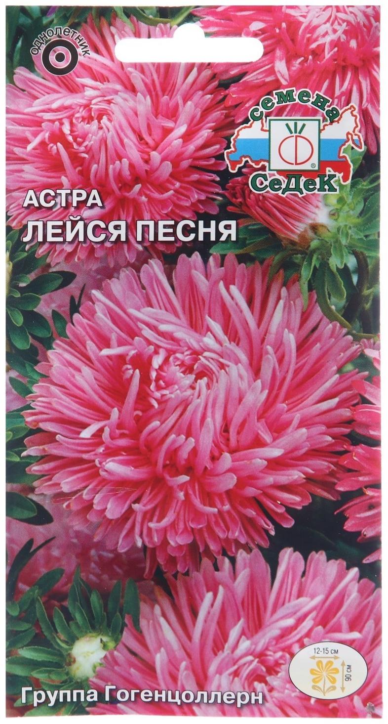 Семена цветов Астра 