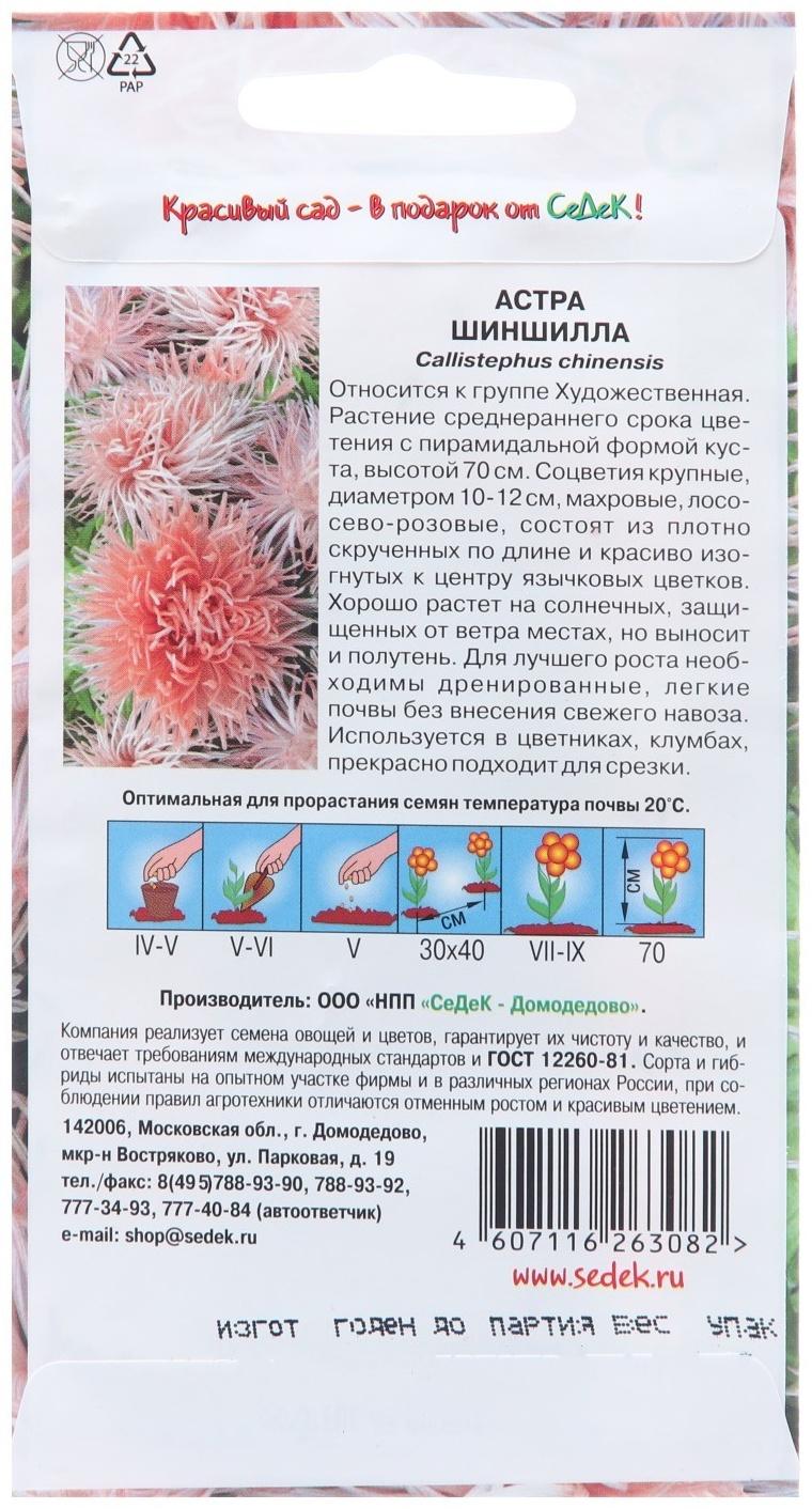 Семена цветов Астра 