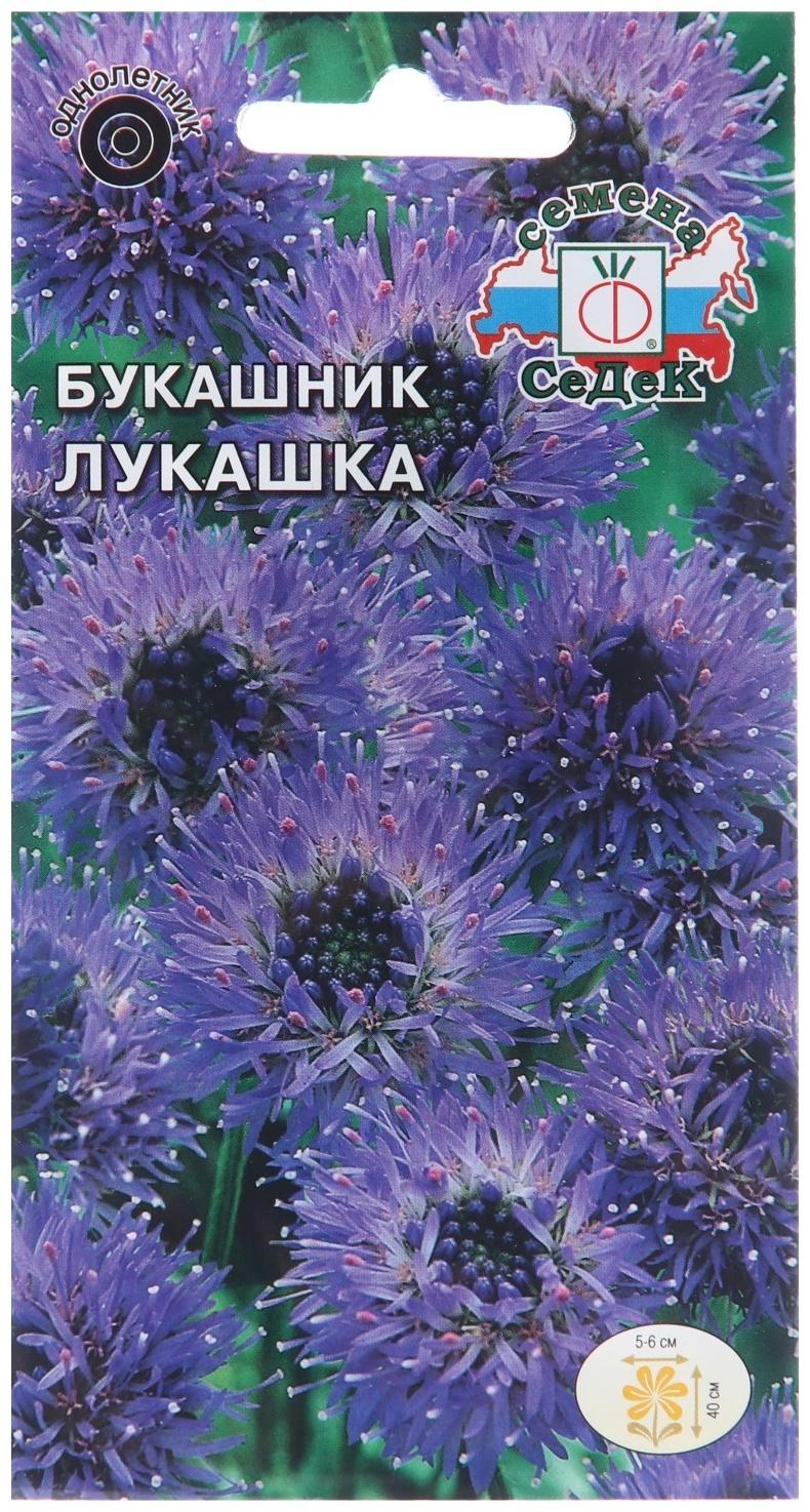 Семена цветов Букашник 