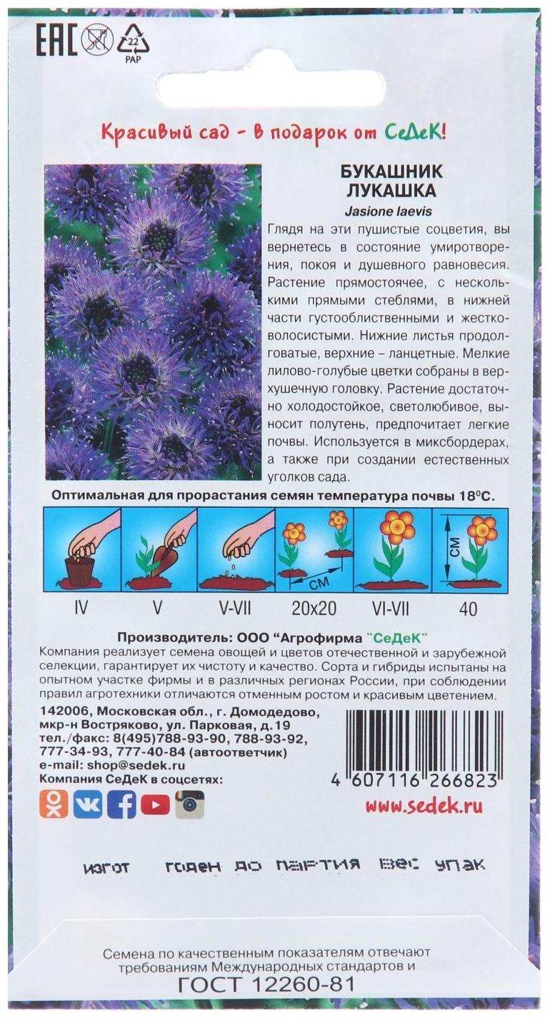 Семена цветов Букашник 