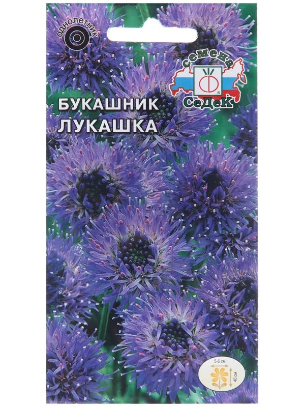 Семена цветов Букашник 