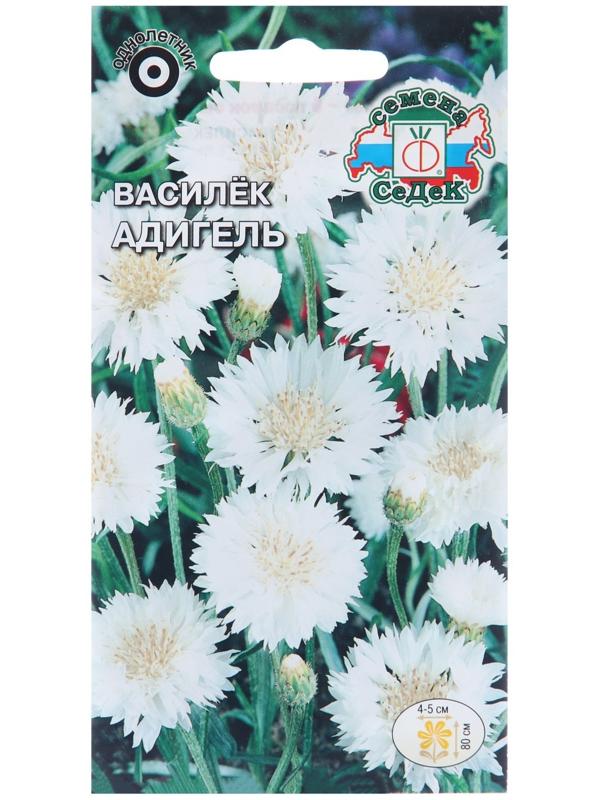 Семена цветов Василек 