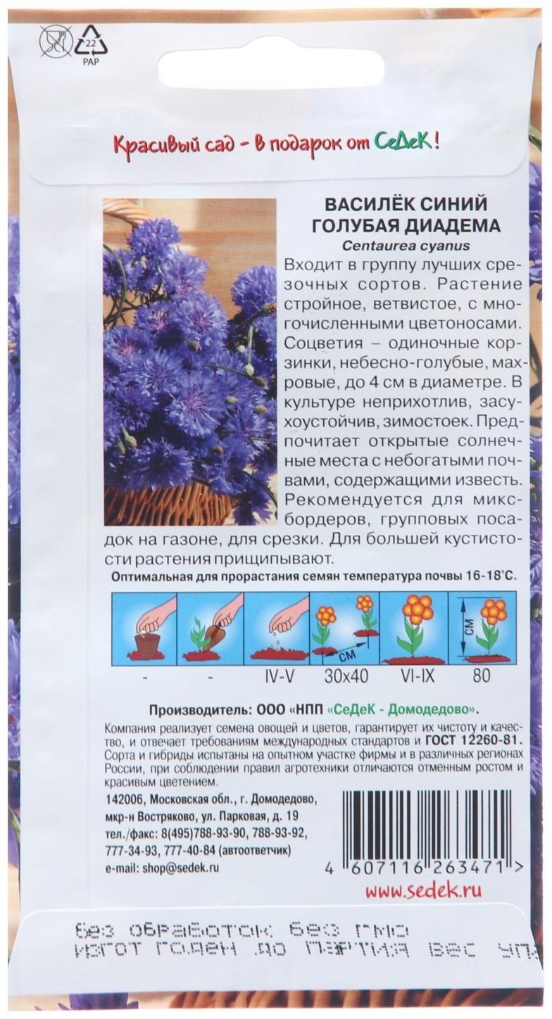 Семена цветов Василек 