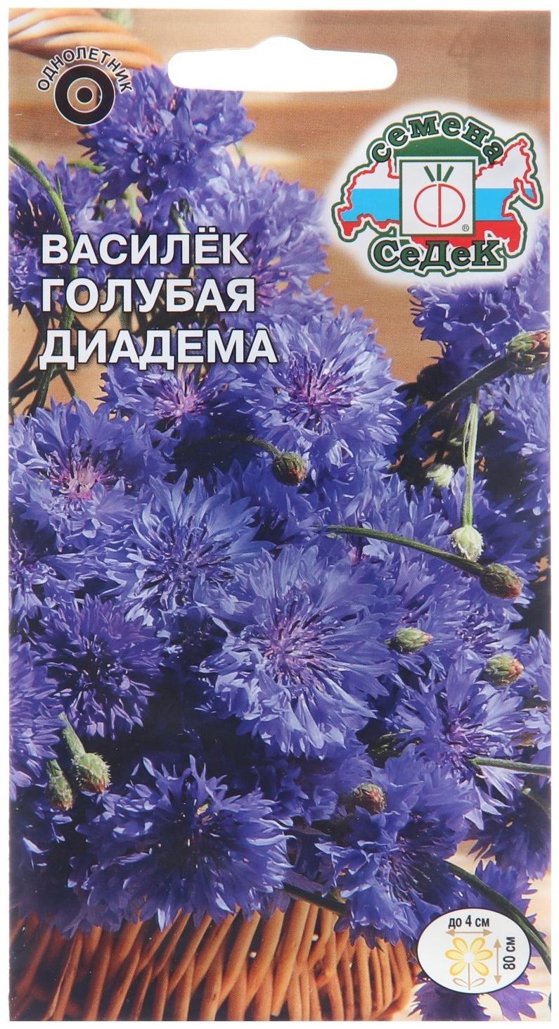 Семена цветов Василек 