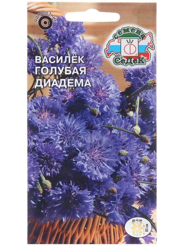 Семена цветов Василек 