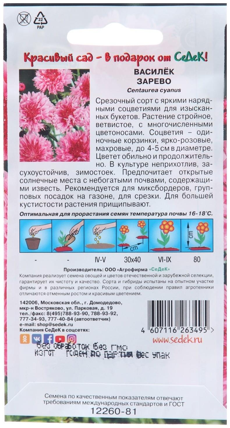 Семена цветов Василек 