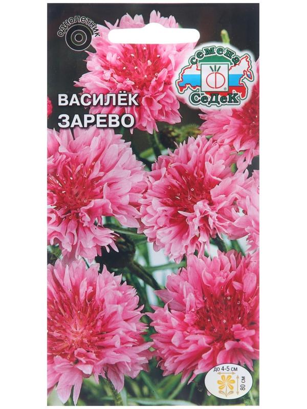 Семена цветов Василек 