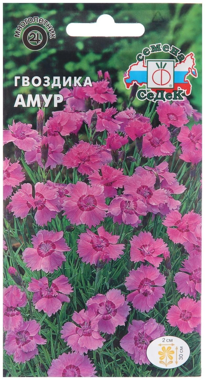 Семена цветов Гвоздика 