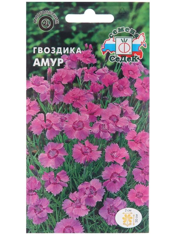 Семена цветов Гвоздика 