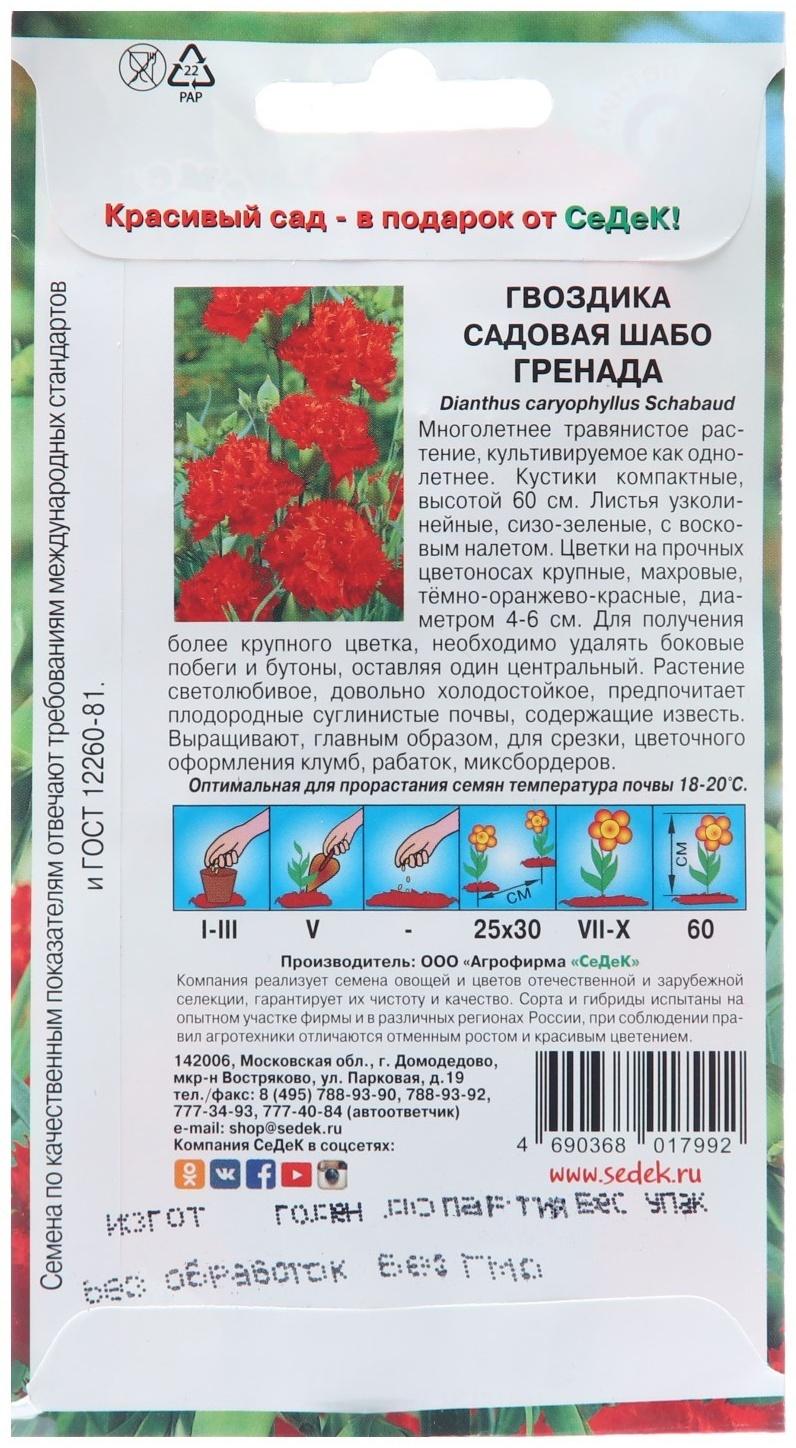 Семна цветов Гвоздика 