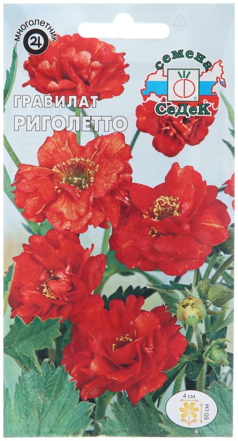 Семена цветов Гравилат 
