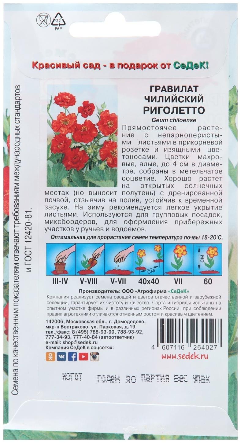 Семена цветов Гравилат 