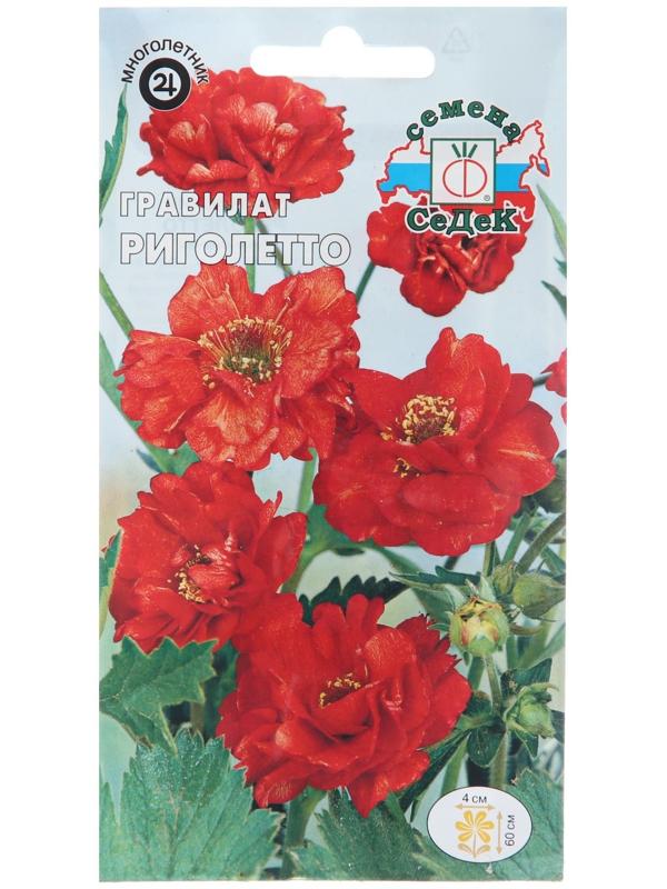 Семена цветов Гравилат 