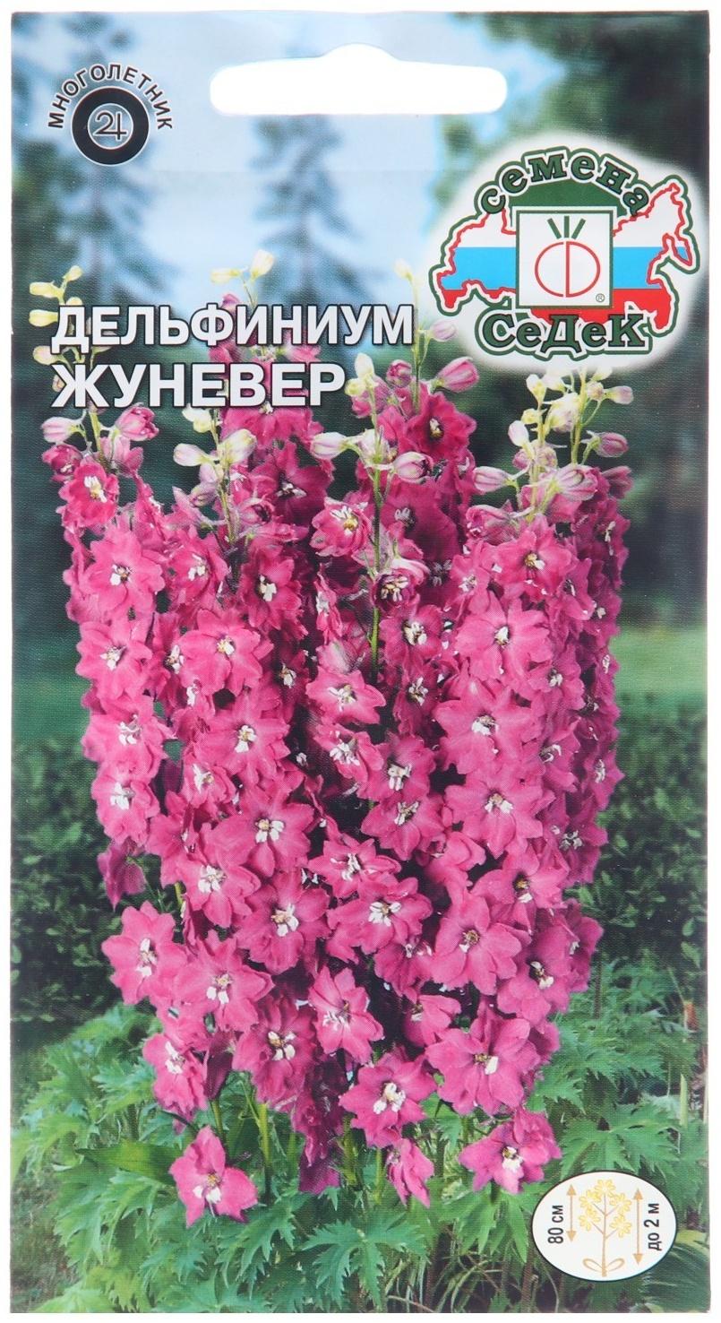 Семена цветов Дельфиниум