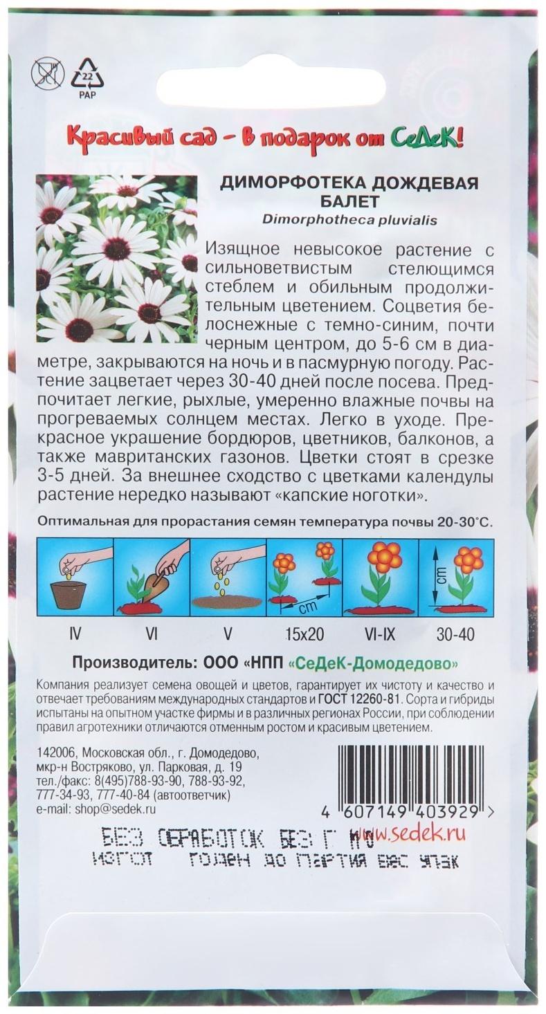 Семена цветов Диморфотека 