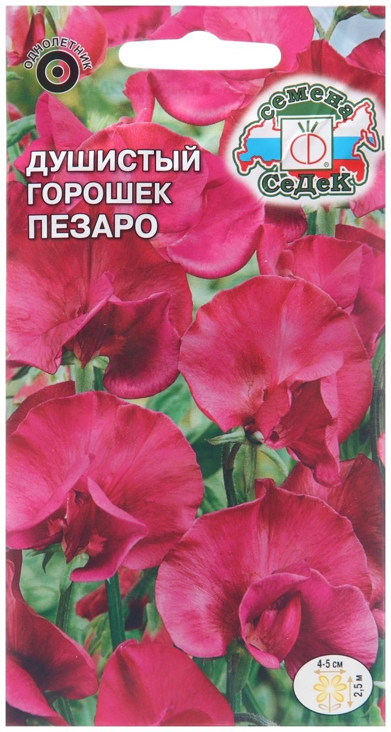 Семена цветов Душистый горошек