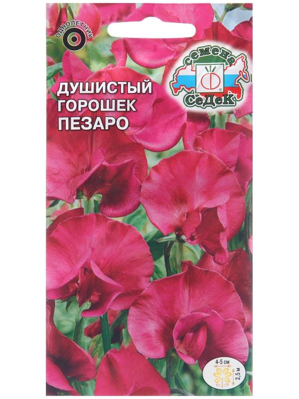 Семена цветов Душистый горошек